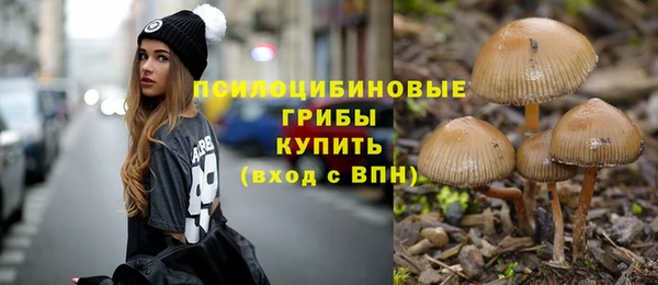 2c-b Арсеньев