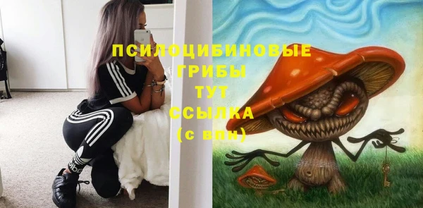 2c-b Арсеньев